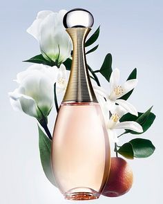 花卉植物场景产品在蔬菜种植中的应用与效益