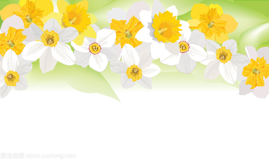 春日花语 水仙花环与蔬菜之缘